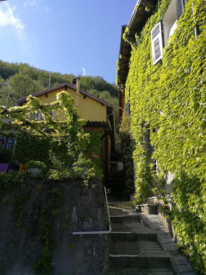 Casale Maria Mafalda Pieve di Teco Zewnętrze zdjęcie